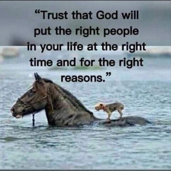 Meet your Posher, Britty - Picture 2 of 6